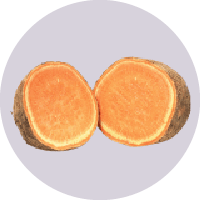 시유 (무라사키 마사리)